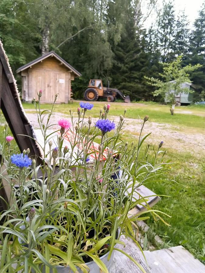 Kulttuurikartano Pekan Pirtit Haapavesi Eksteriør bilde